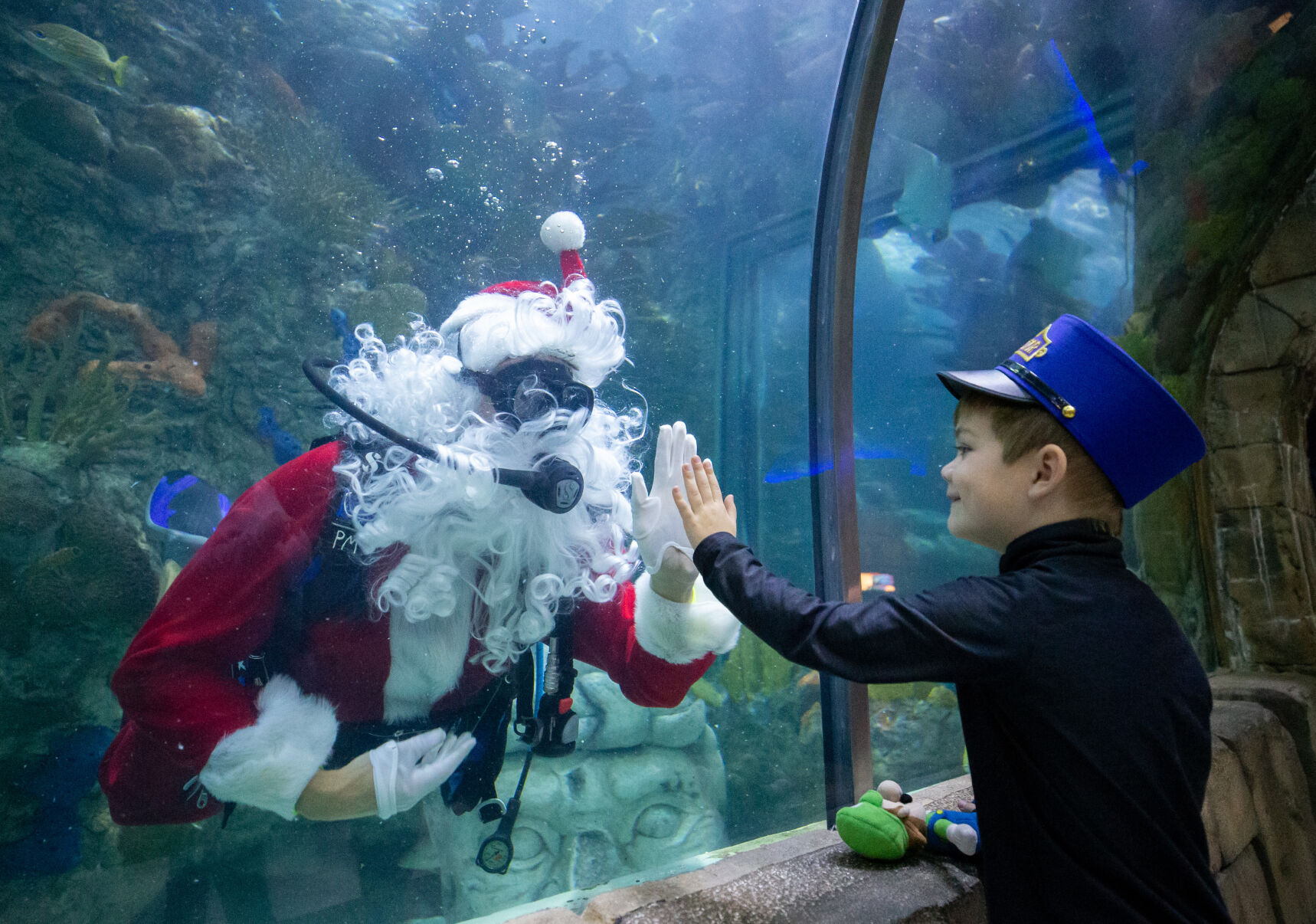 Aquarium of the Americas